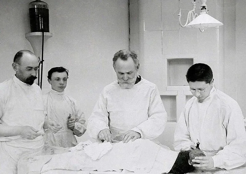 Laboratoire d'Ivan Pavlov &agrave; l'Institut de m&eacute;decine exp&eacute;rimentale de Saint-P&eacute;tersbourg, lieu de ses d&eacute;couvertes sur les r&eacute;flexes conditionn&eacute;s